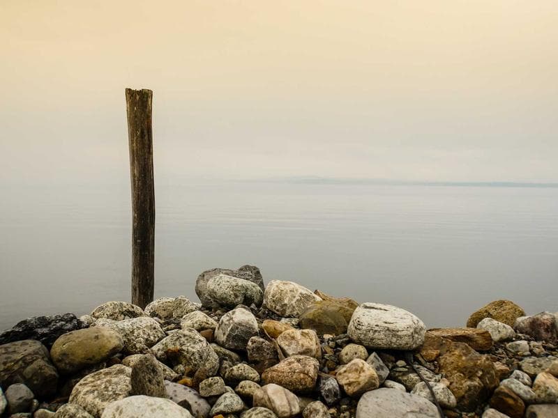 Coastal Plain Visuals photo 3